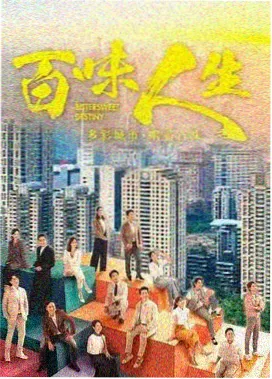 雾港十二年剧集封面